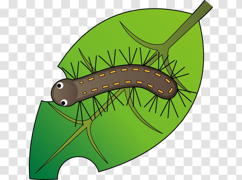 Caterpillar Worm Butterfly Clip Art - Elder Brother Transparent PNG