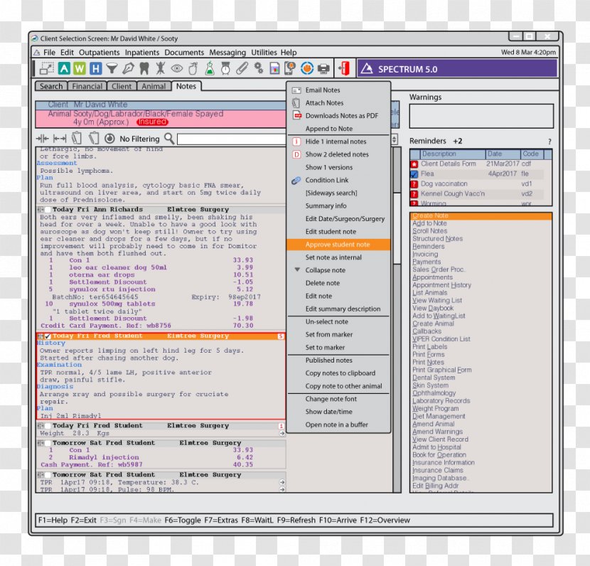 Screenshot Computer Program Line Font - Document - Professional Cv Transparent PNG