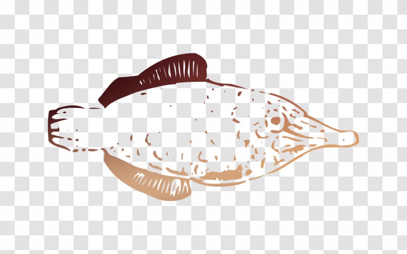 Fish - Flatfish - Flounder Transparent PNG