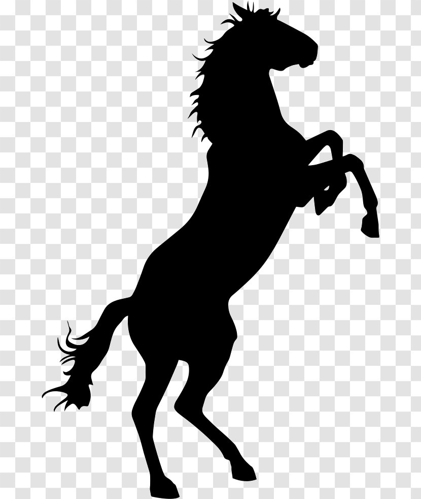 Mustang Bronco Bucking Criollo Horse Stallion - Mammal Transparent PNG