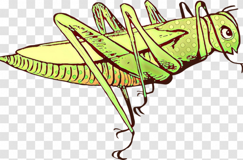 Insect Leaf Grasshopper Line Art Emperor Moths Transparent PNG