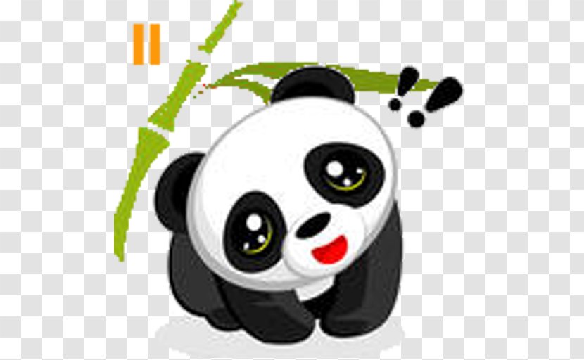 Giant Panda Bear Animaatio Drawing Transparent PNG