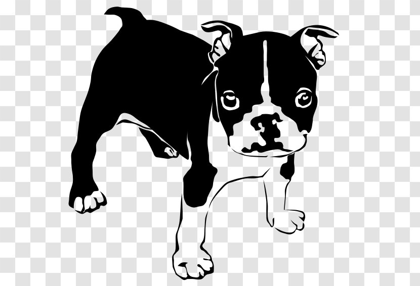 French Bulldog American Boston Terrier Puppy - Non Sporting Group Transparent PNG