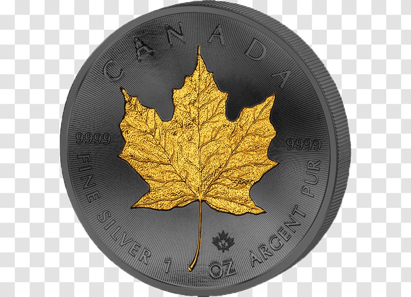 Canadian Silver Maple Leaf Libertad Gold Ounce - The Surface Of Golden Crony Transparent PNG