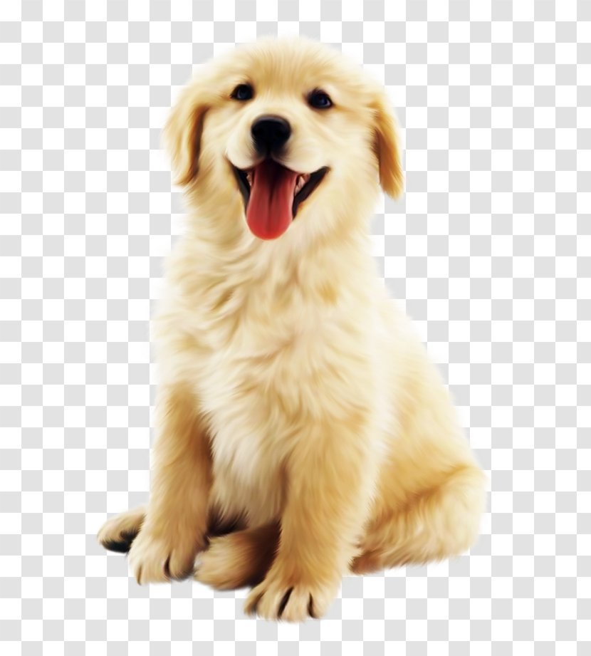 Cute Golden Pet Dog - Silhouette - Cartoon Transparent PNG