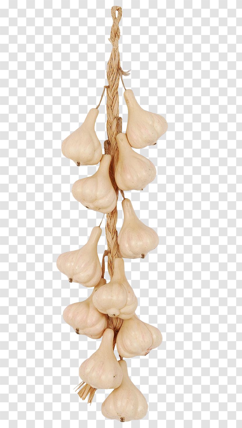 Garlic Food Vegetable Icon Transparent PNG