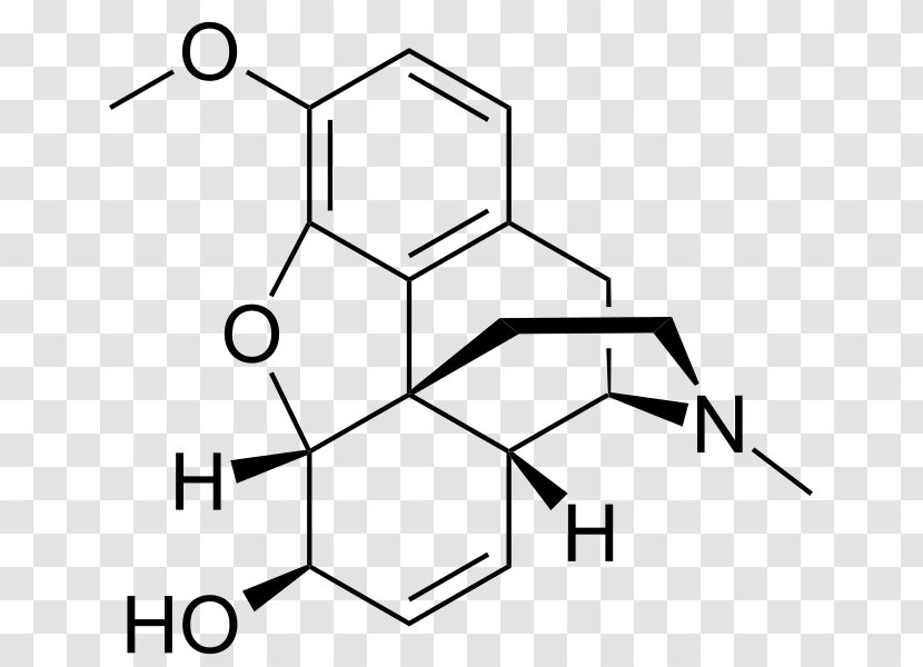 Morphine-6-glucuronide Opioid Morphine-N-oxide Alprazolam - White - Codeine Transparent PNG