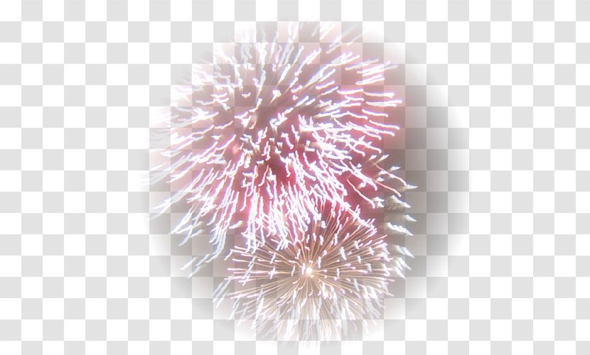 Fireworks Birthday New Year - Frame Transparent PNG