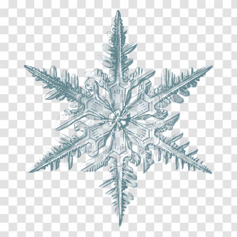 Snowflake Image Microscope Photograph - Plant Transparent PNG