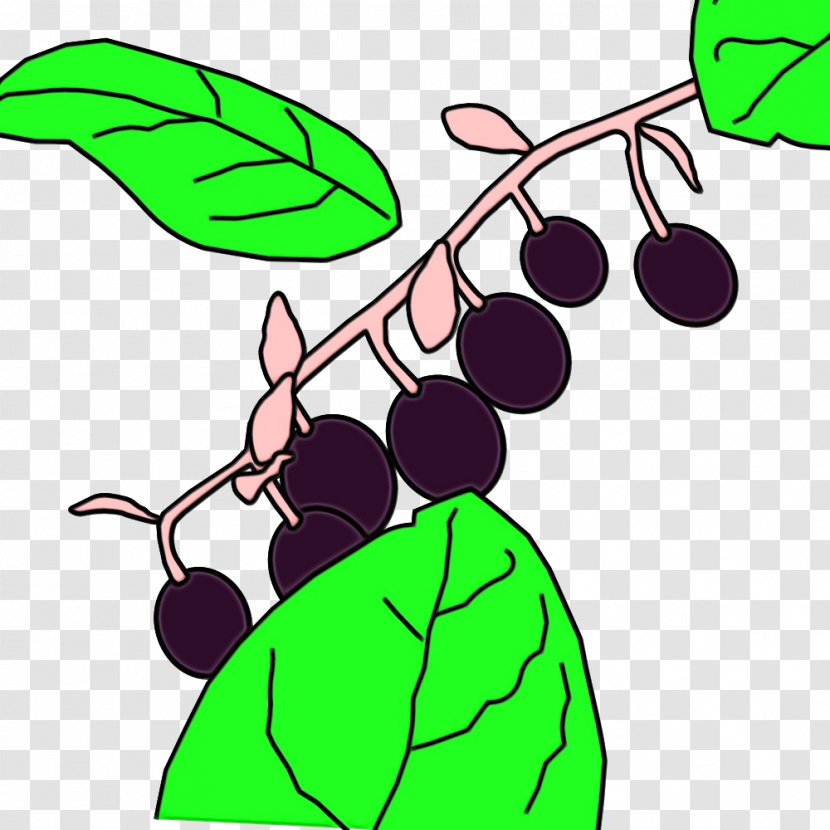 Grape Leaf - Tree - Flower Seedless Fruit Transparent PNG