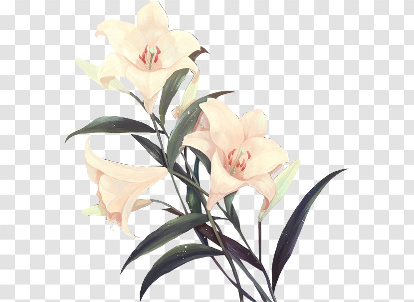 Floral Design Cut Flowers Clip Art - Flora - Flower Transparent PNG