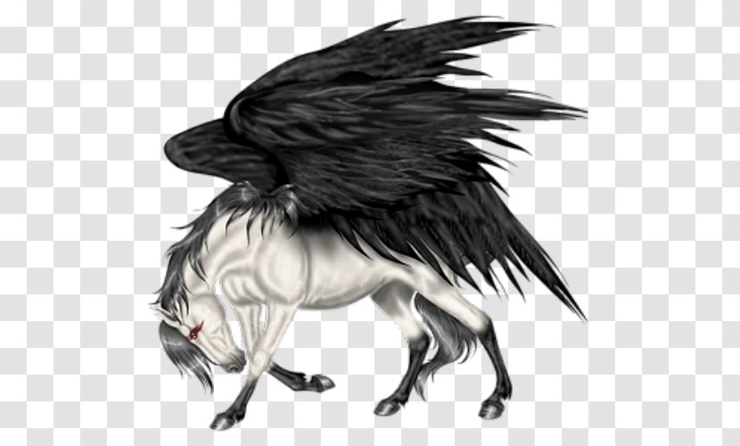 Pegasus Flying Horses Howrse Wing - Bird Of Prey Transparent PNG