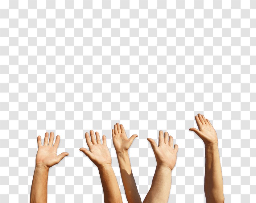 Hand Arm Finger Thumb Roof - Holding Transparent PNG