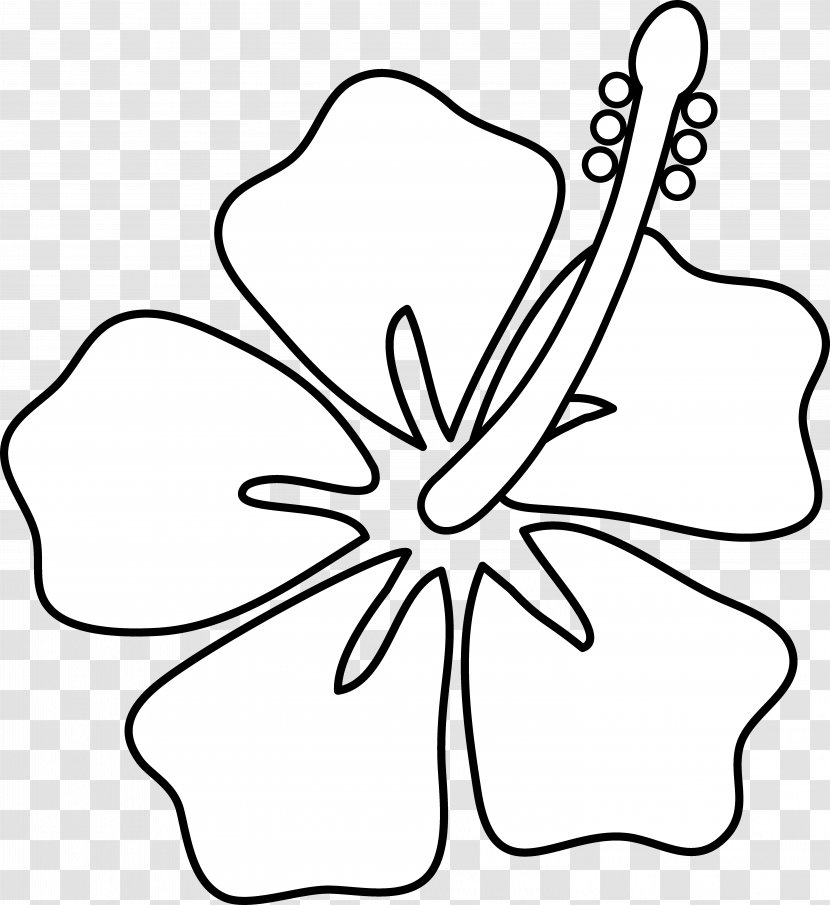 Hawaii Drawing Hibiscus Flower Clip Art - Cartoon Transparent PNG