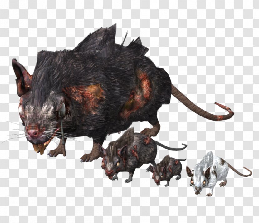 Dark Souls III Rat Murids Mouse - Mammal Transparent PNG