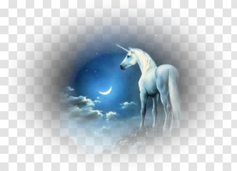 Unicorn Animation Pegasus Desktop Wallpaper - Mythical Creature Transparent PNG