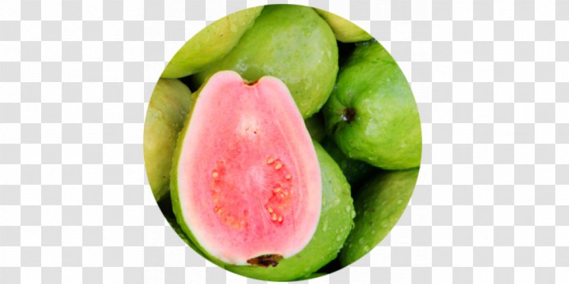 India Guava Miracle Fruit Auglis - Melon Transparent PNG