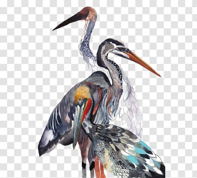Watercolor Painting Art Drawing Bird - Cartoon - Crane Transparent PNG