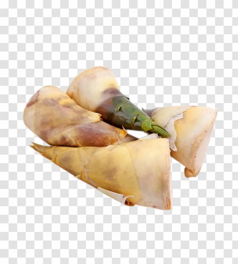 Huangtianzhen Spring Roll Bamboo Shoot - Ningde - Four Shoots Transparent PNG