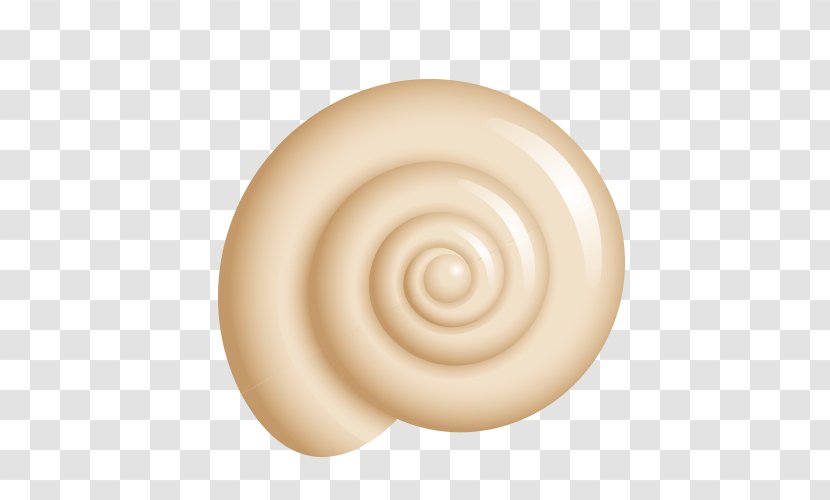 Spiral Snail - Candy Transparent PNG