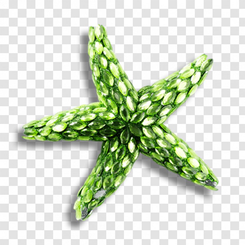 Starfish - Grass - Creative Transparent PNG