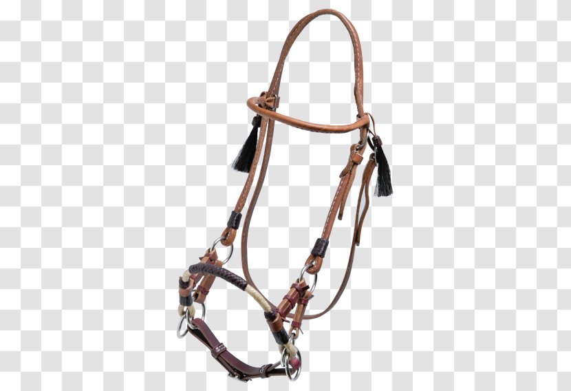 Horse Bridle Equestrian Schönswetter Leather - Natural Horsemanship Transparent PNG