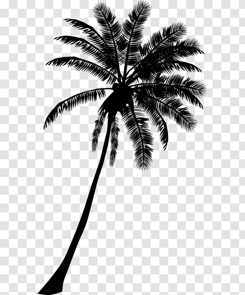 Arecaceae Drawing Clip Art - Silhouette Transparent PNG