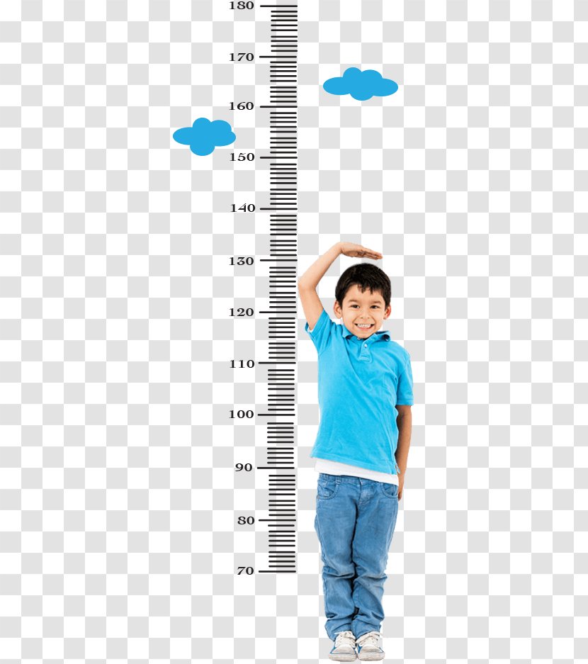 Measuring Height Child Measurement Human - Heart Transparent PNG