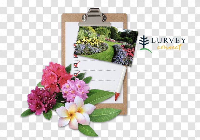 Lurvey Garden Center & Landscape Supply Floral Design Club Cut Flowers - Service - Appointment Book Transparent PNG