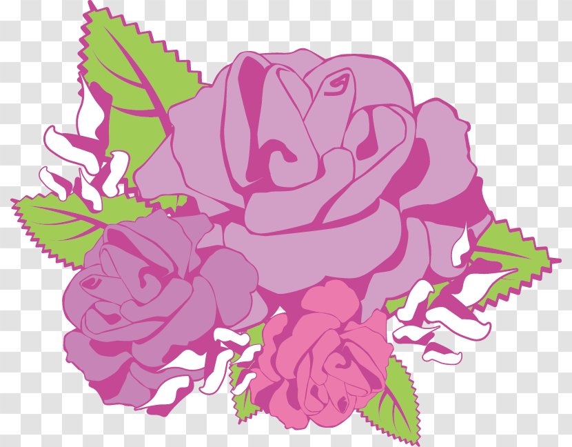 Garden Roses Cabbage Rose Cut Flowers Floral Design - Silhouette - Flower Transparent PNG