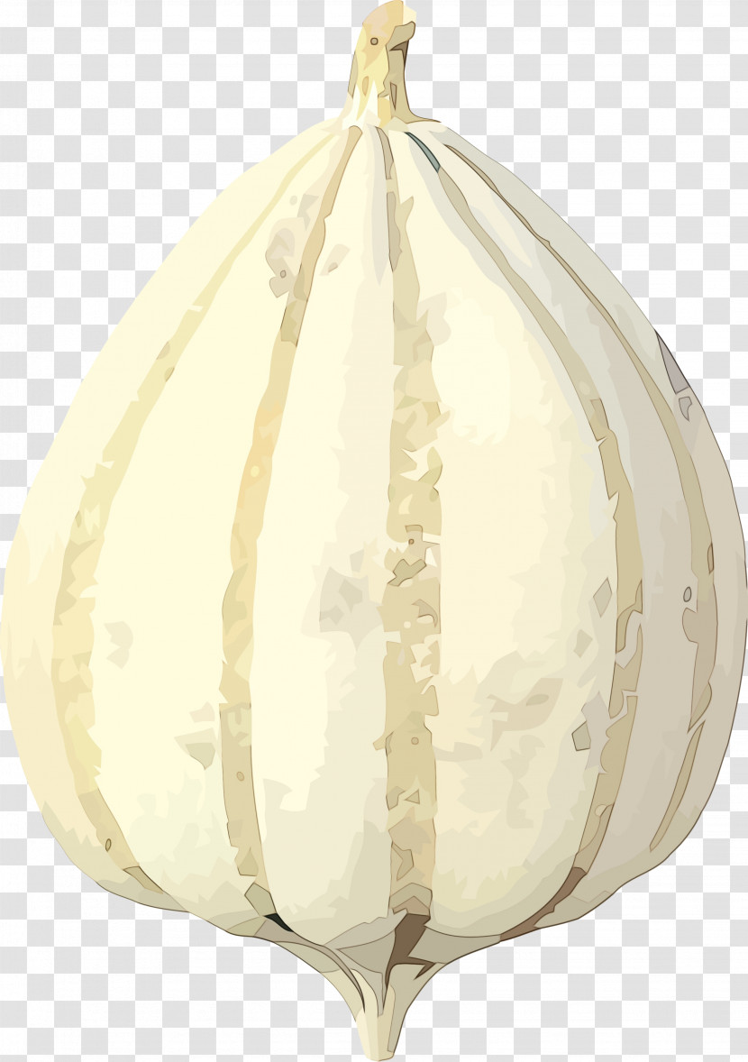 Vegetable Onion Plant Allium Elephant Garlic Transparent PNG