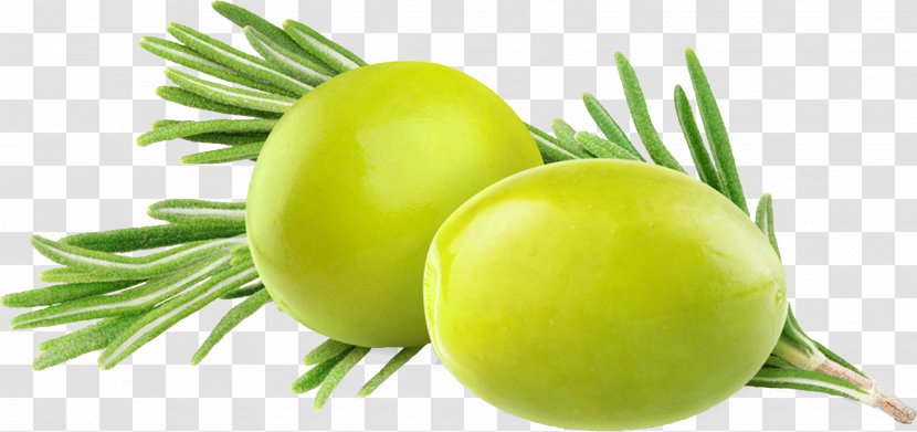 Olive Leaf Branch Oil Nutrition - Green Olives Transparent PNG