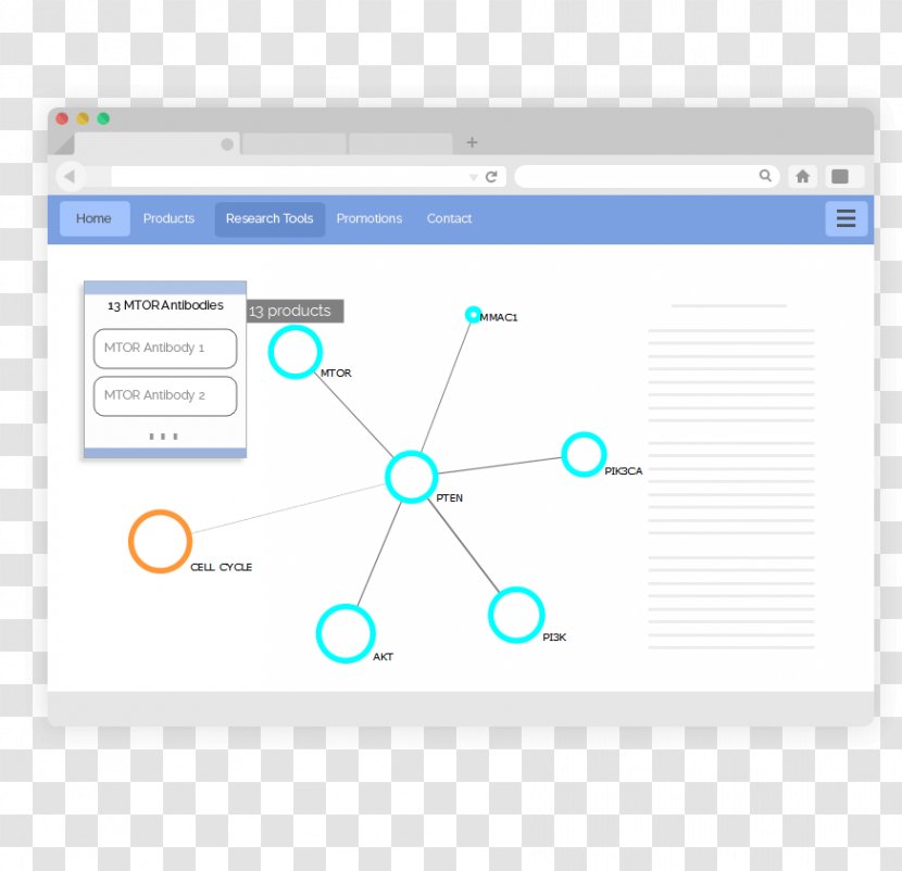 Brand Web Analytics Logo - Design Transparent PNG