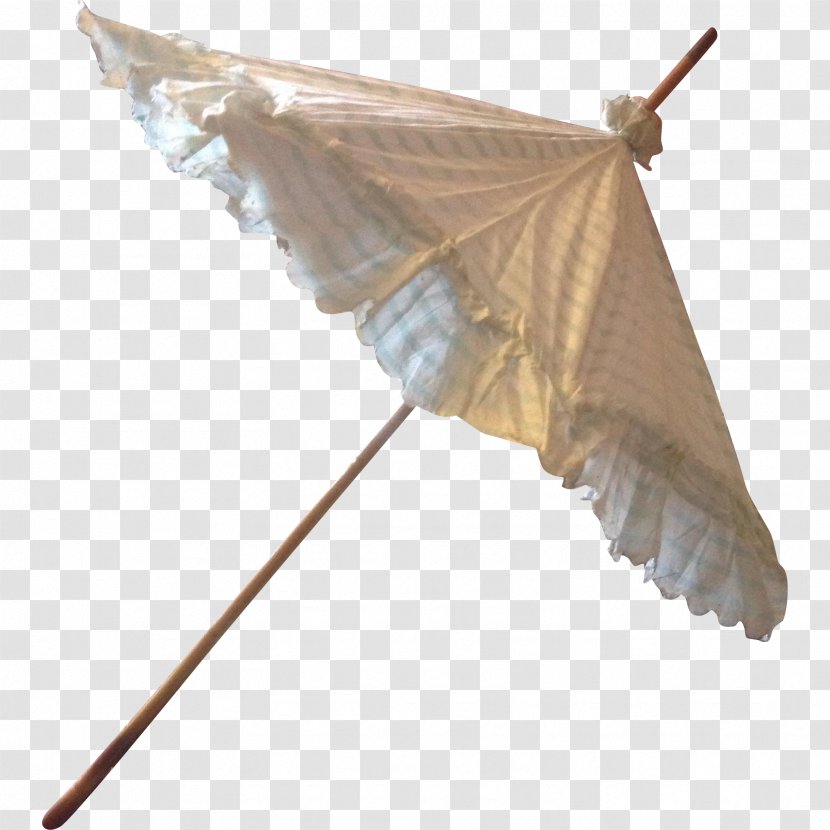Moth Butterfly Wing Pollinator 2M - Parasol Transparent PNG