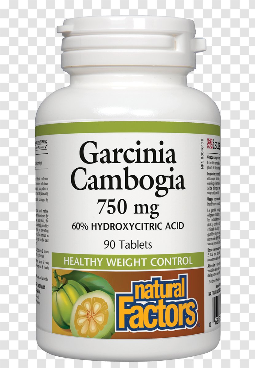 Garcinia Gummi-gutta Dietary Supplement Hydroxycitric Acid Health Nutrient - Nutrition Transparent PNG