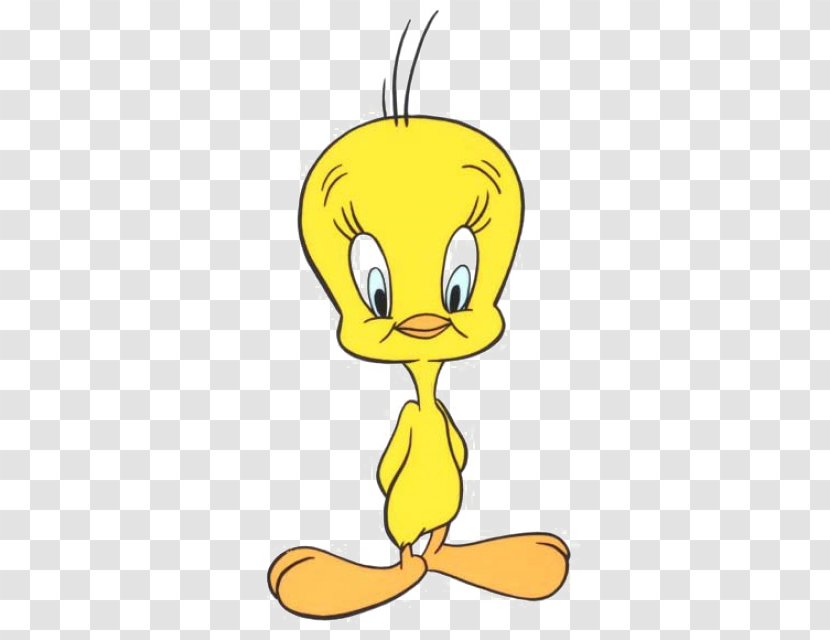 Tweety Sylvester Granny Drawing Looney Tunes - Mammal - Duck Transparent PNG