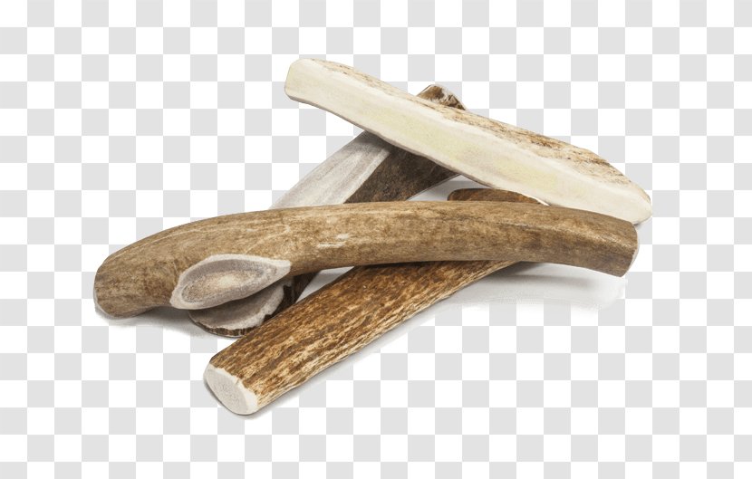 Prairie Dog Antler Elk Pet Transparent PNG