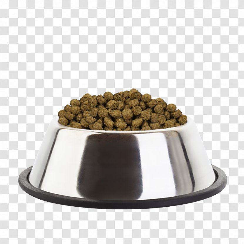 Cat Food Puppy Golden Retriever English Toy Terrier Eukanuba Transparent PNG