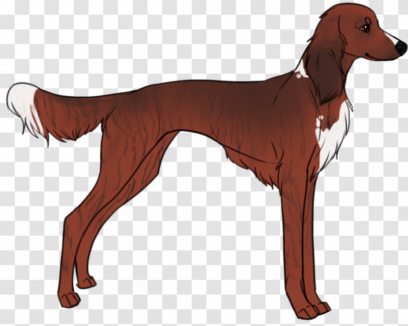 Saluki Azawakh Sloughi Italian Greyhound Mudhol Hound - Redbone Coonhound - Blood Line Transparent PNG