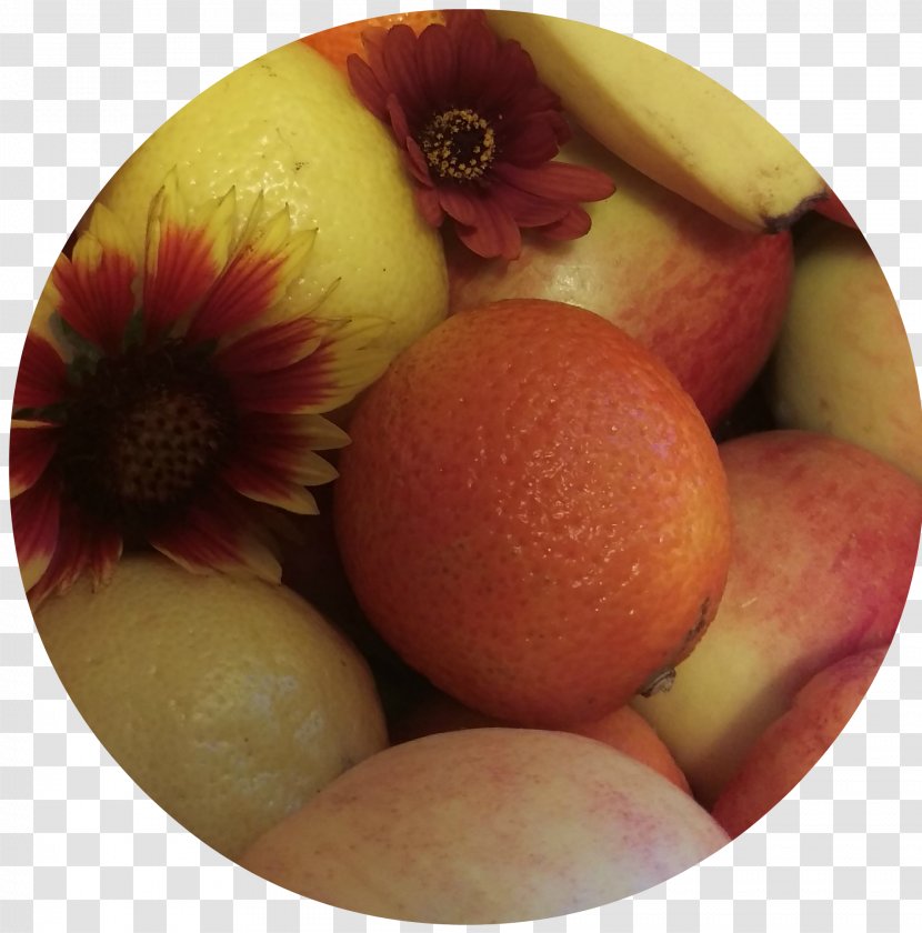 Apple - Food - Fruit Transparent PNG
