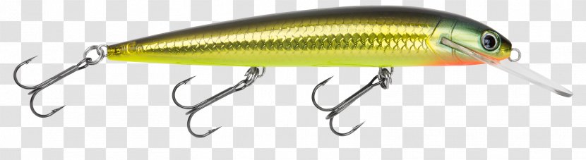 Plug Northern Pike Fishing Baits & Lures Yellow Perch - Tweed Heads Transparent PNG