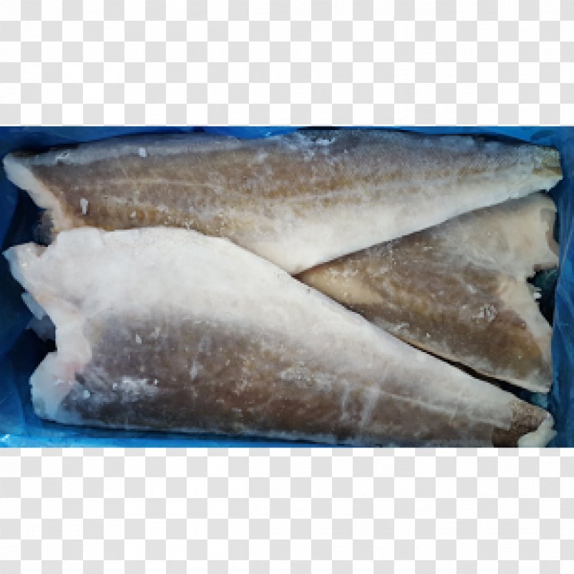 Pacific Cod Atlantic Food Fillet - Kilogram - (gadus Morhua) Transparent PNG