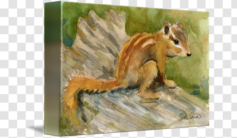 Chipmunk Watercolor Painting Art Mixed Media - Animal Transparent PNG