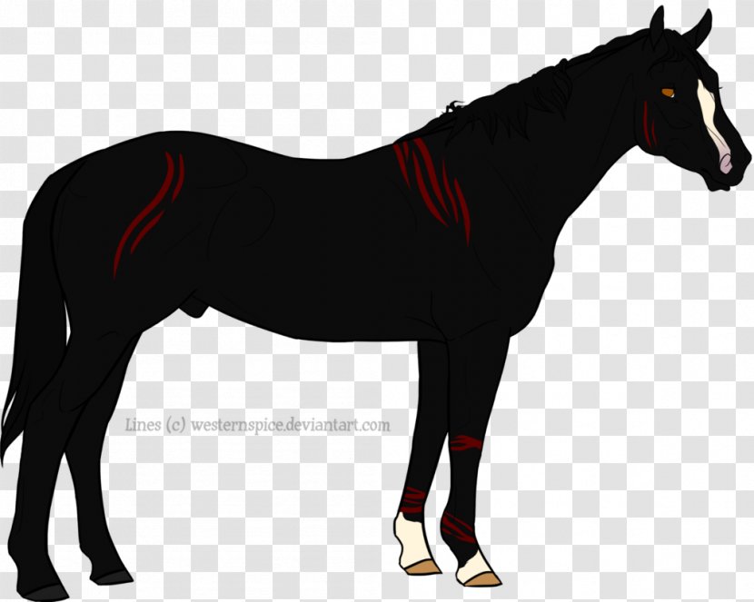 Mustang Pony Mare Foal Stallion - American Paint Horse Transparent PNG