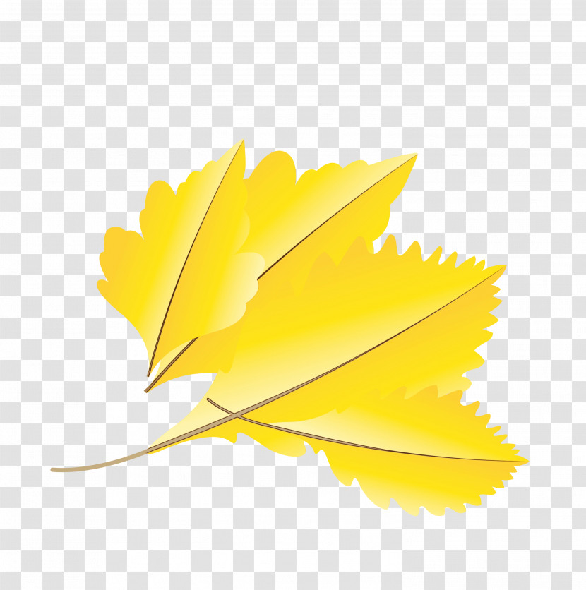 Petal Leaf Yellow M-tree Tree Transparent PNG