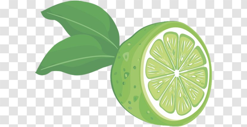 Lemon Fruit Clip Art - Lime Transparent PNG