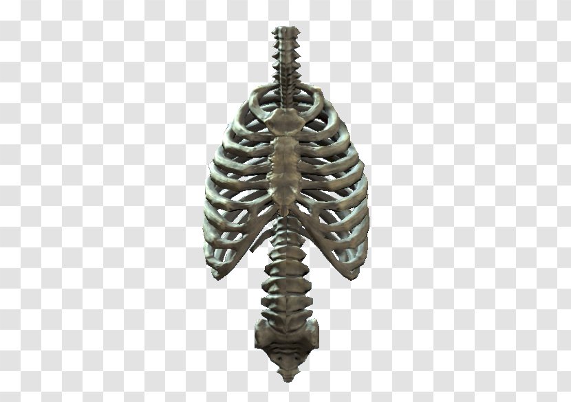 Rib Cage Human Skeleton Body - Silhouette - Transparent Images Transparent PNG