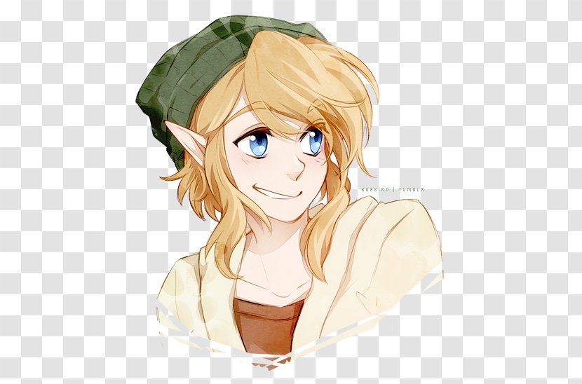 The Legend Of Zelda: Breath Wild Twilight Princess Skyward Sword Link - Flower - Hermes Transparent PNG