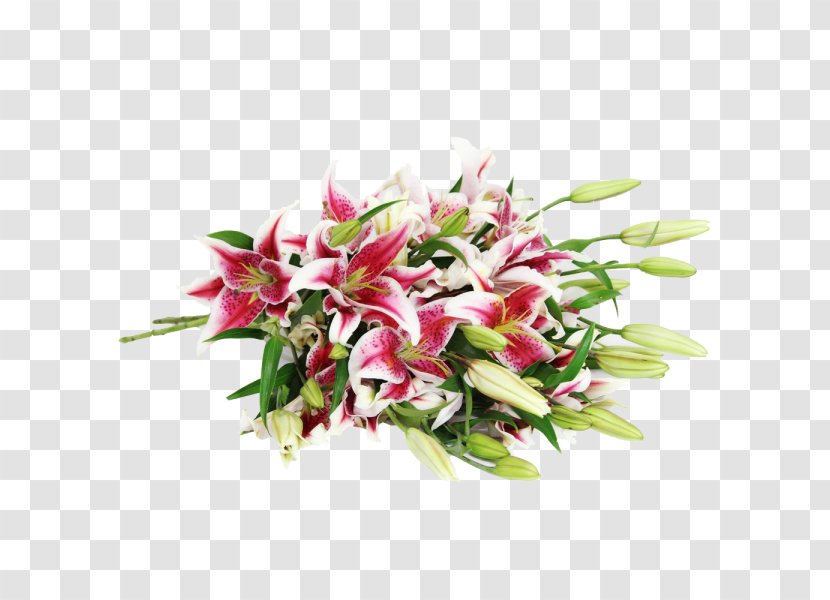 Flower Bouquet Lilium 'Stargazer' Cut Flowers - Floristry - Lily Transparent PNG