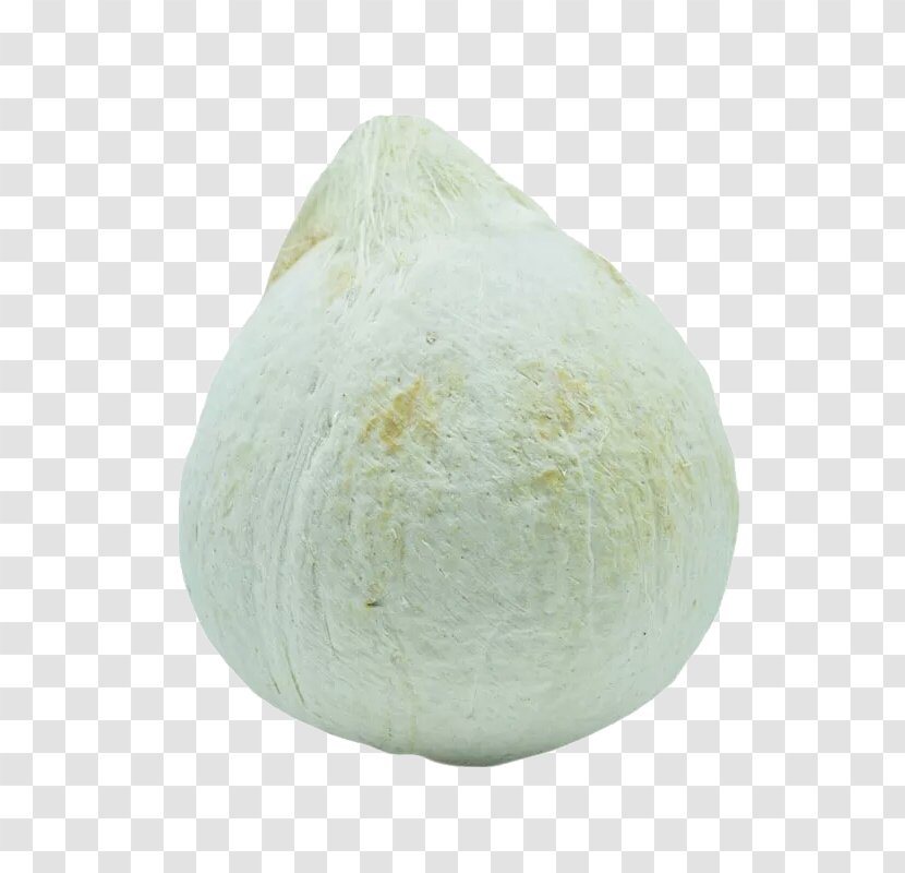 Commodity - A Coconut Transparent PNG